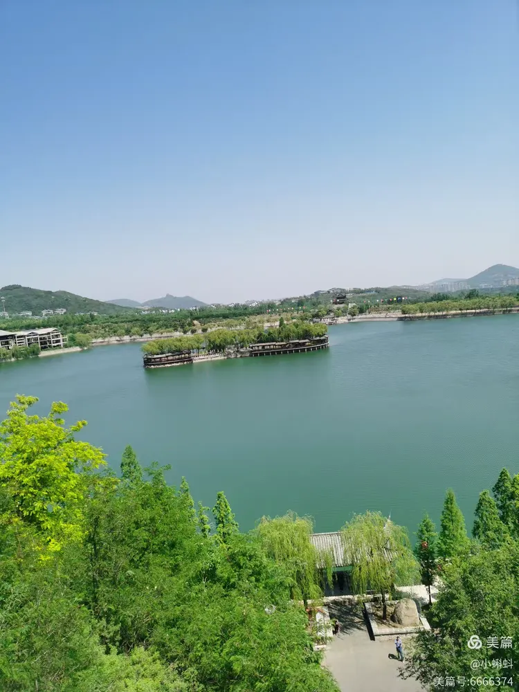 滨州邹平樱花山